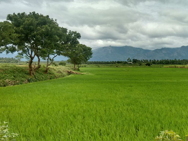 ಪೊರುಲ್ ಆಚಿ