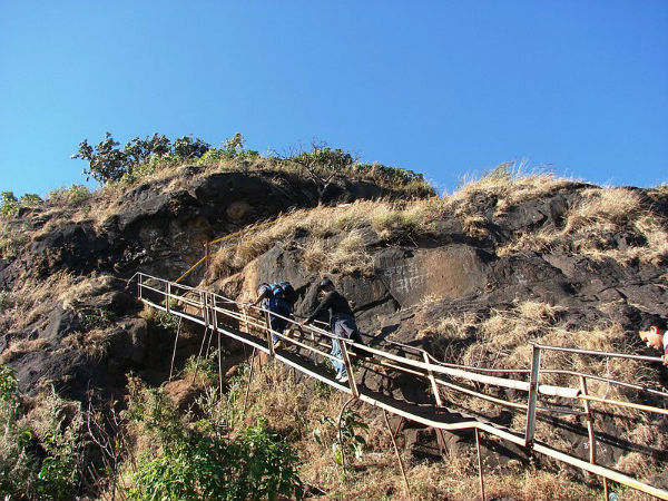 ಕಬ್ಬಿಣದ ಏಣಿಗಳು
