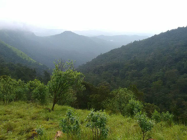 ಕೊಡಚಾದ್ರಿ