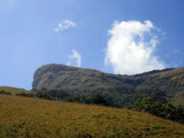 ಕುದುರೆಮುಖ
