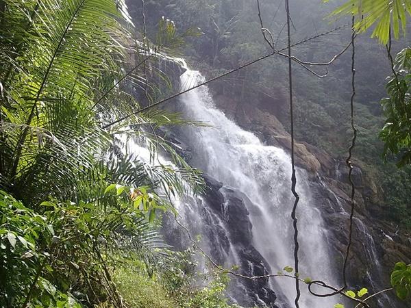 ಬಂಡೆಗಳ ಮೇಲೆ ಮೆಟ್ಟಿಲು