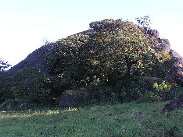 ಎಲ್ಲಿದೆ ಈ ಪಕ್ಷಿಪಥಾಲಂ?