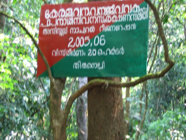 ಅರಣ್ಯ ಇಲಾಖೆ ಅನುಮತಿ ಅಗತ್ಯ