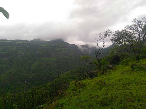 ರಾಜ್ಮಾಚಿ ವನ್ಯಜೀವಿ ಧಾಮ
