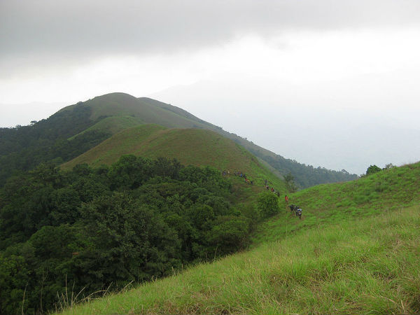 ಶಿರೋಲಿ ಶಿಖರ