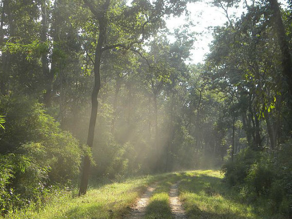 ಪಚಮರಿ ಬಯೋಸ್ಫಿಯರ್ ರಿಸರ್ವ್
