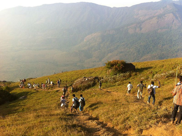 ಟ್ರಕ್ಕಿಂಗ್ಗೆ ಸೂಕ್ತ