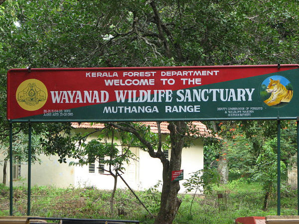 ವಯನಾಡ್ ವನ್ಯಜೀವಿ ಧಾಮ
