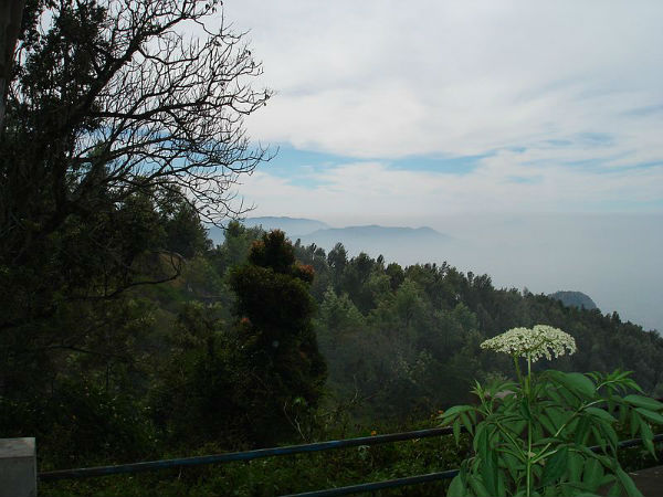 ಜೆಂಟ್ಸ್ ಸೀಟ್ , ಚಿಲ್ಡ್ರನ್ಸ್ ಸೀಟ್