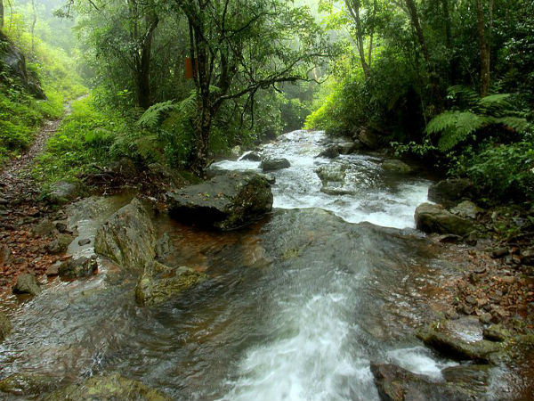 ಬ್ರಹ್ಮಗಿರಿ ವನ್ಯಜೀವಿ ಅಭಯಾರಣ್ಯ