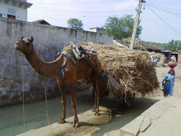 ನೀರು ಪೋಲು ಮಾಡಬೇಡಿ