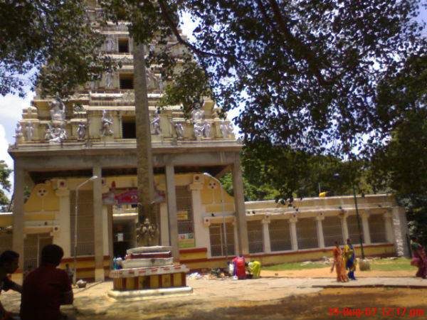 ಇತರ ಆಕರ್ಷಣೆಗಳು