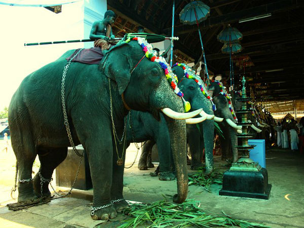 ಪ್ರಮುಖ ಉತ್ಸವ