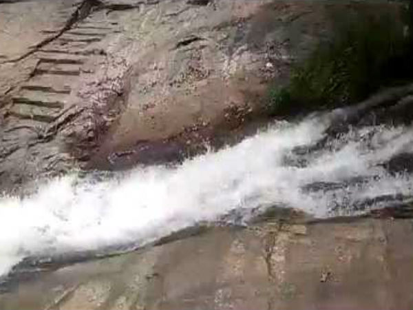 ಬೇಸ್ ಕ್ಯಾಂಪ್
