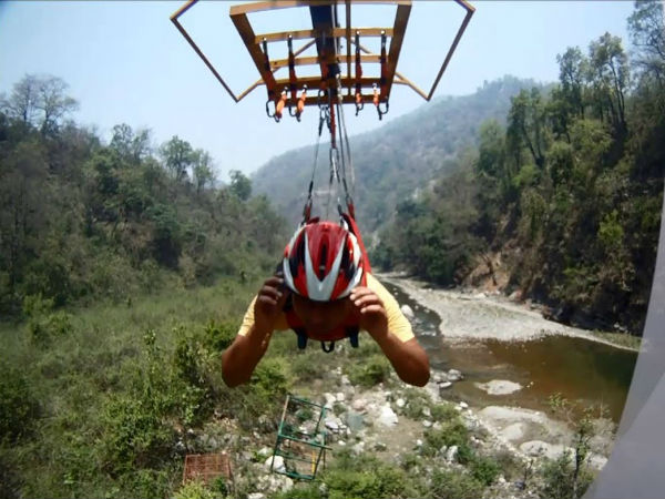 ಫ್ಲೈಯಿಂಗ್ ಫಾಕ್ಸ್