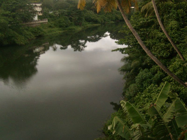 ಕಲ್ಲಡ ನದಿ