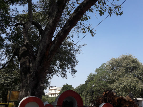 ಭೇಟಿಯ ಸಮಯ