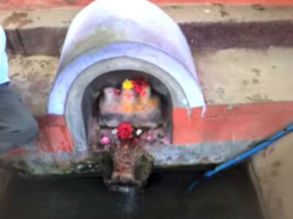 ಸರ್ವರೋಗ ನಿವಾರಿಣಿ