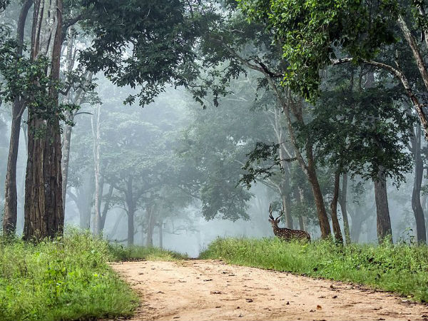 ಕುಟ್ಟ