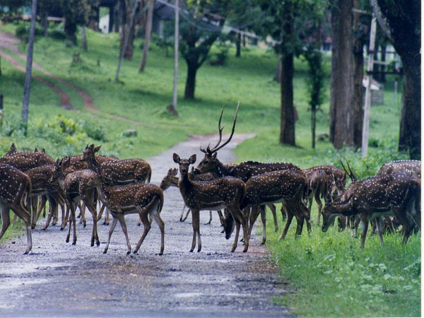 ರೈಲು ಮೂಲಕ