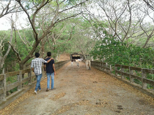 ಹೆಸರು ಬಂದಿದ್ದು ಹೇಗೆ?