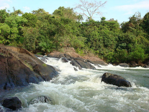 ಪಶ್ಚಿಮ ಘಟ್ಟಗಳ ಮಡಿಲು