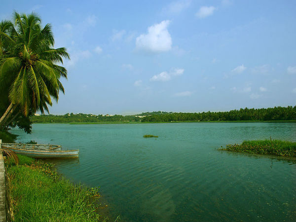 ಸಂಗೀತ ಕಾರಂಜಿ