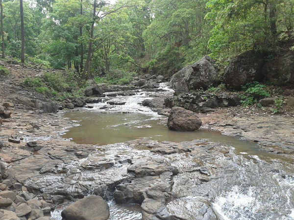 ನರ್ಮದಾ ಜಯಂತಿ
