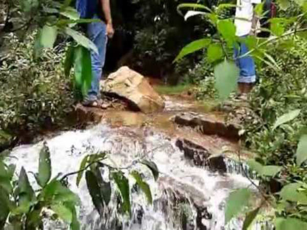ಅರ್ಬಿಫಾಲ್ಸ್