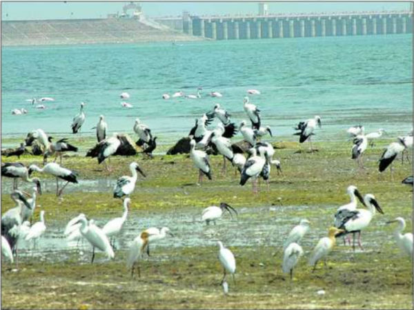 ದಯಾನೇಶ್ವರ್ ಉದ್ಯಾನವನ