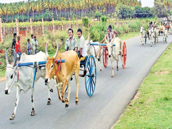 ಜಾತ್ರಾ ವಿಶೇಷಗಳು