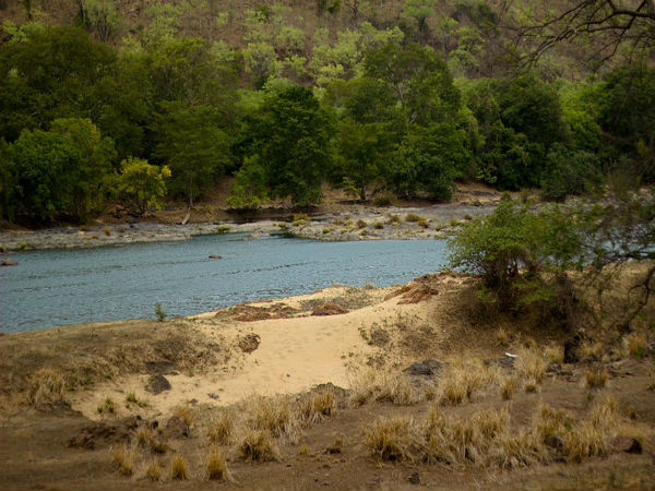 ಮೀನಿಗೆ ಗಾಳ ಹಾಕಬಹುದು