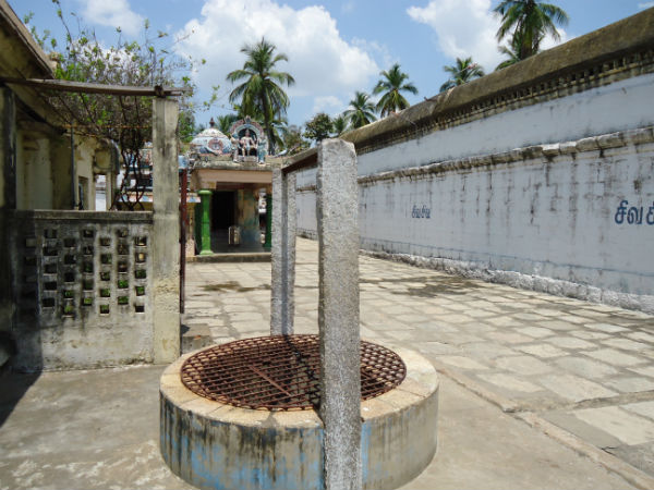 ಪುನುಗು
