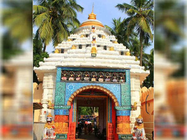 ದೊಡ್ಡ ಆಮೆ