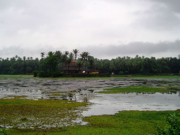12 ನೇ ಶತಮಾನಕ್ಕೆ ಸೇರಿದ ವಿಗ್ರಹಗಳು
