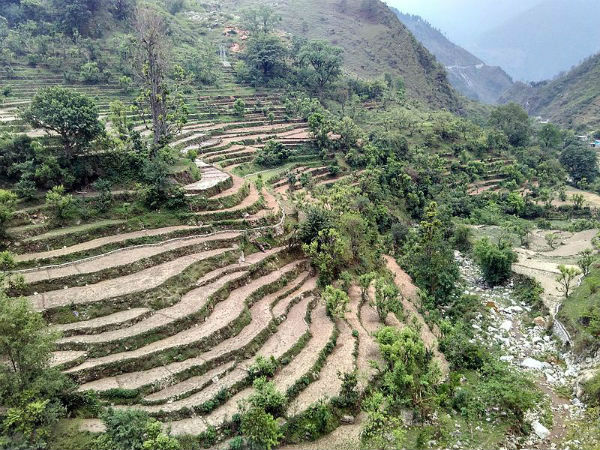 ಕೂರ್ಮಾಂಚಲ್