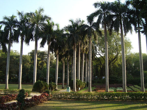 7000 ಮರಗಳು