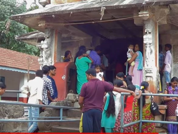 ಎಲ್ಲಿದೆ ಈ ಮೃಗಾವಧೆ