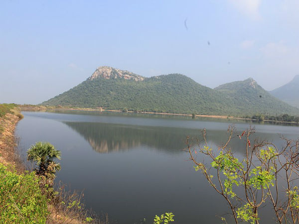 ನೀರಿನ ಕೊಳಗಳು