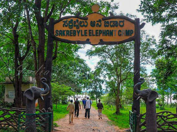 ಸಕ್ರೆಬೈಲು ಆನೆ ತರಬೇತಿ ಕೇಂದ್ರ