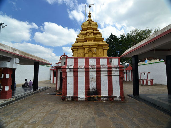 ಭಕ್ತರನ್ನು ಕಾಯುವ ನಾಗರಾಜ