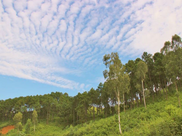 ತೌಬಲ್ ನ ಆಕರ್ಷಣೆಗಳು