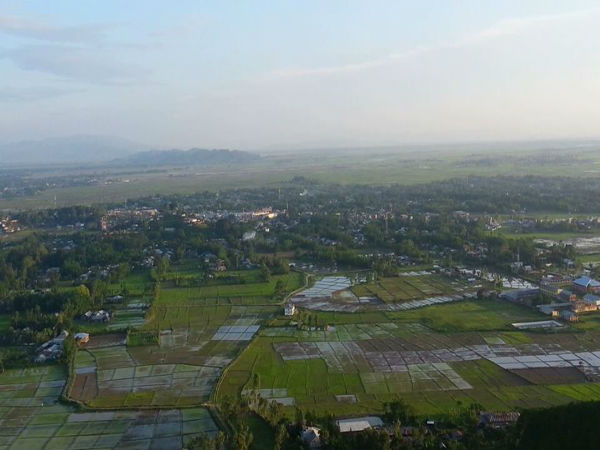 ಭತ್ತದ ಹೊಲಗಳು