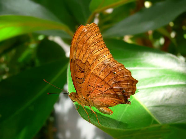 ಮಕ್ಕಳಿಗೆ ಉತ್ತಮ ಸ್ಥಳ