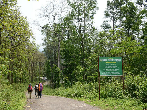 ಬುಕ್ಸ್ ಟೈಗರ್ ರಿಸರ್ವ್