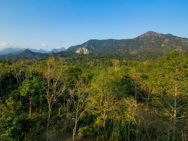 ಜಯಂತಿ ಬೆಟ್ಟ