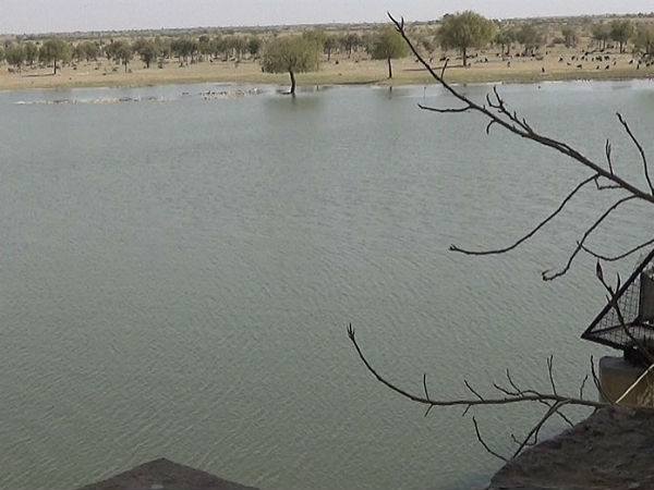 ಯಾವಾಗ ಭೇಟಿ ನೀಡುವುದು ಸೂಕ್ತ
