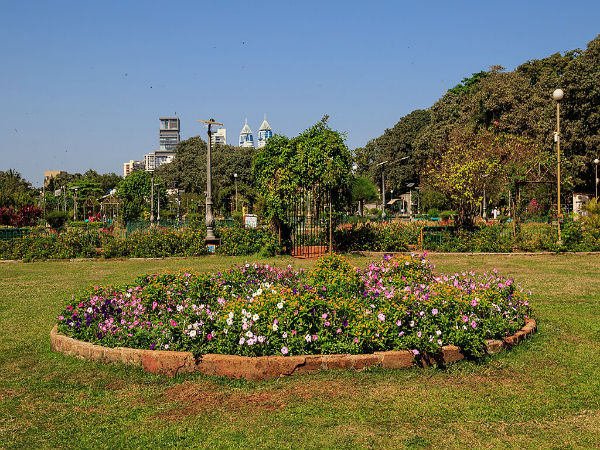 ಟೆರೇಸ್ ಶೈಲಿಯ ಉದ್ಯಾನ