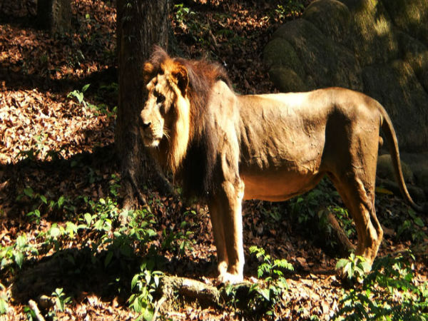 ಭೇಟಿಯ ಸಮಯ
