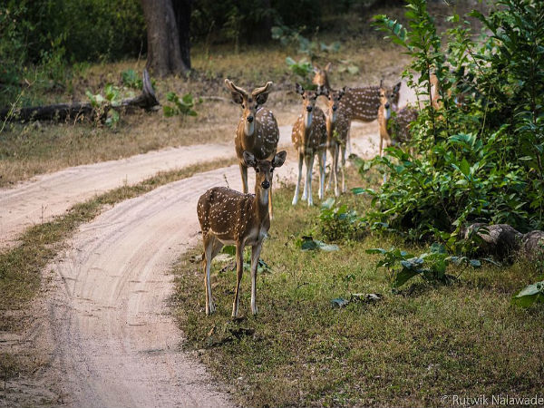 ಪ್ರವಾಸಕ್ಕೆ ಸೂಕ್ತ